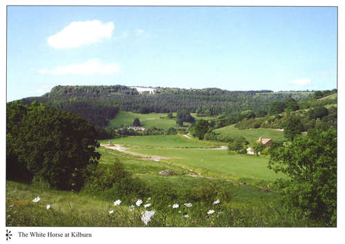 White Horse, Kilburn Postcards (NB: Large 7" x 5" Size)